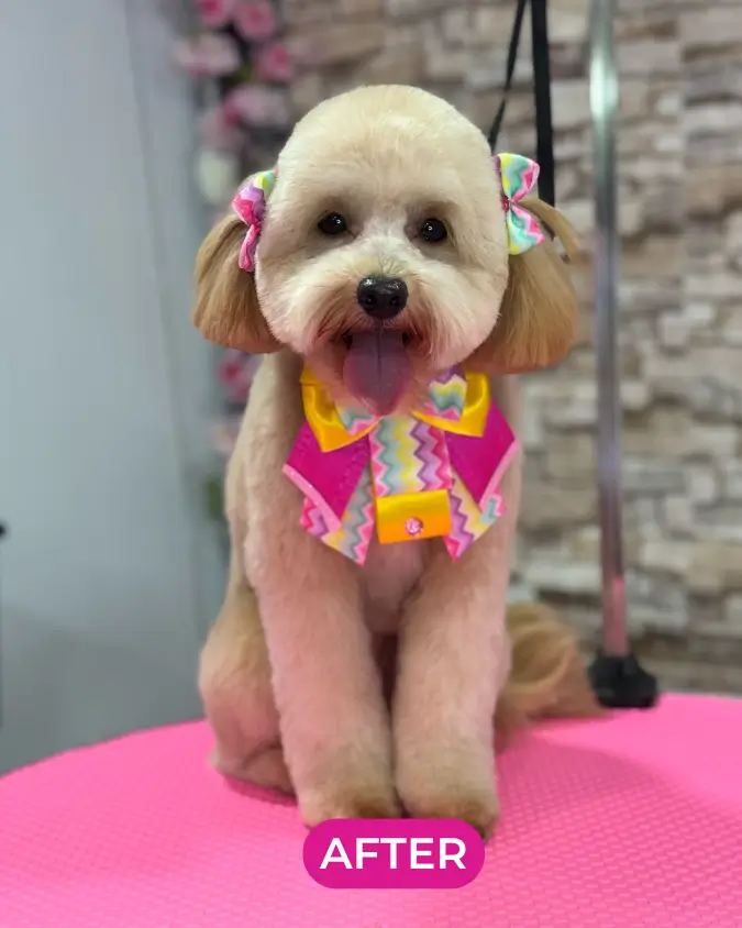 Imagens retangulares - Nutris (12)